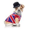 Handbags Judith Leiber | Bulldog Winston